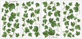 Evergreen Ivy Peel & Stick Wall Decals Country Kitchen Decor Green Leaves Border Vines